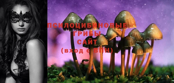 соль ск Лагань
